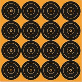 BIG BURST 3" - 48 BULL'S-EYE TARGETS - 3-PK